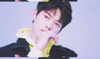 魏大勋简介 魏大勋简介